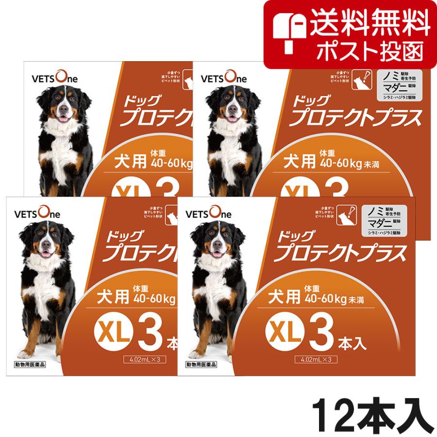 【ネコポス(同梱不可)】【4箱セット】ベッツワン ドッグプロテクトプラス 犬用 XL 40kg〜60kg未満 3本 (動物用医薬品) | プロテクトプラス