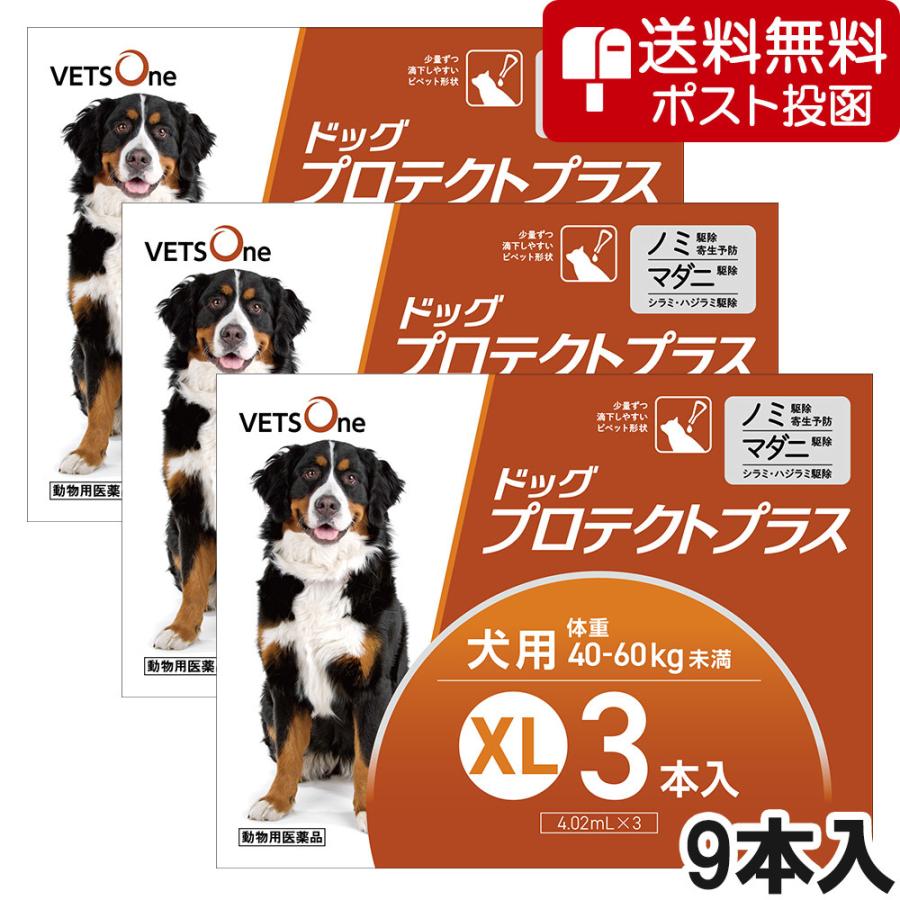 【ネコポス(同梱不可)】【3箱セット】ベッツワン ドッグプロテクトプラス 犬用 XL 40kg〜60kg未満 3本 (動物用医薬品) | プロテクトプラス