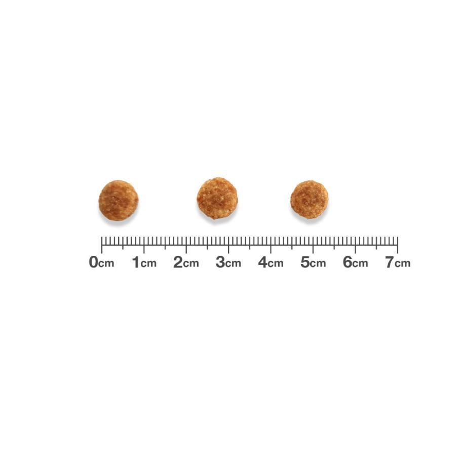 VETS One pHケア チキン 3kg 2個 ベッツワンベテリナリー 【2袋セット】ベッツワンベテリナリー 犬用 pH