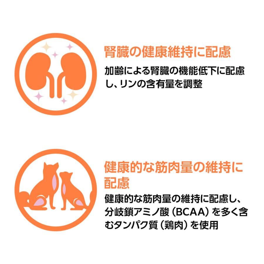 ベッツワンベテリナリー 猫用 高齢ケア（シニアケア） チキン 2kg