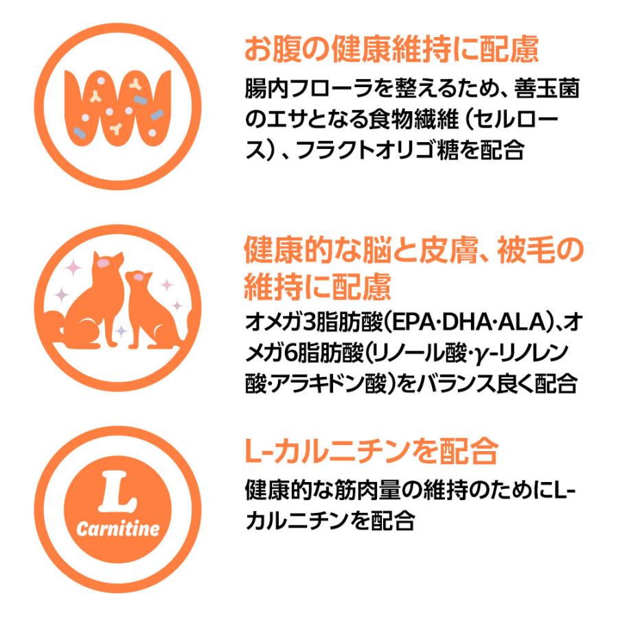 ベッツワンベテリナリー 猫用 高齢ケア（シニアケア） チキン 2kg