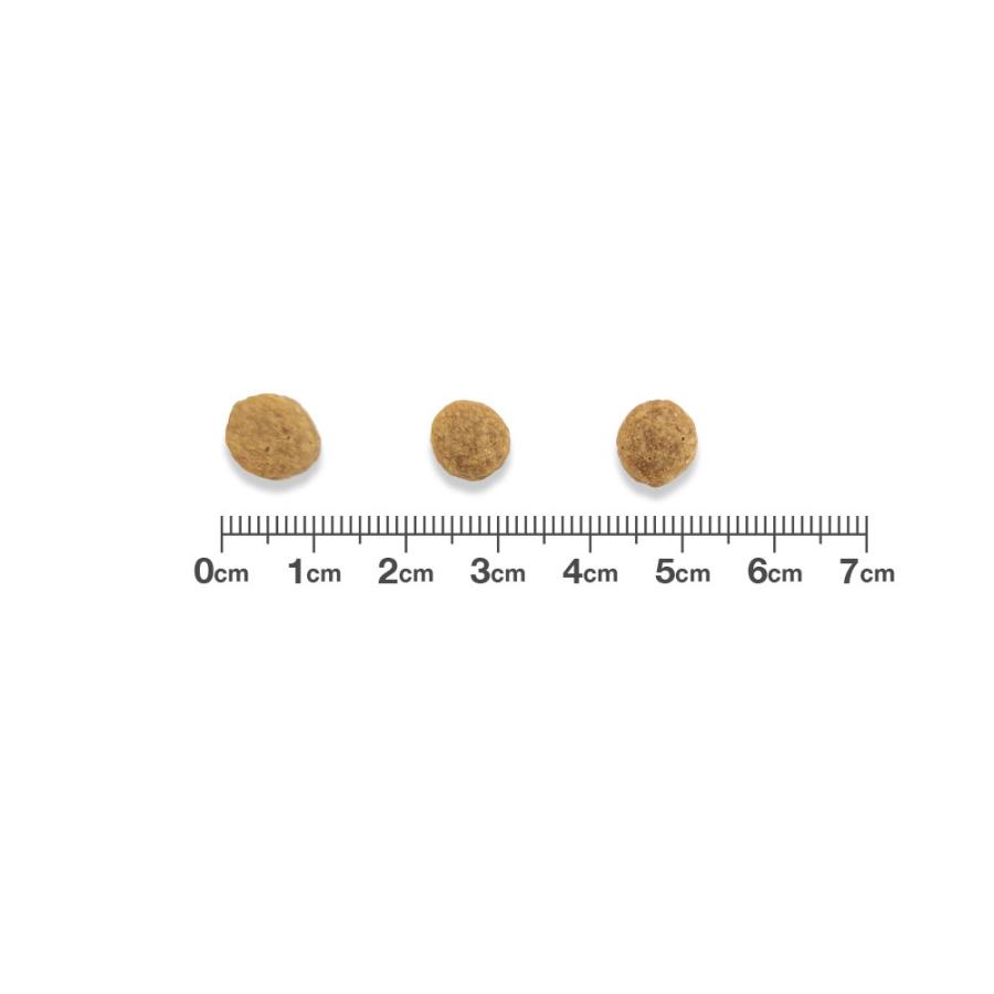 ベッツワンベテリナリー 猫用 pHケア フィッシュ 2kg : ベッツワン公式