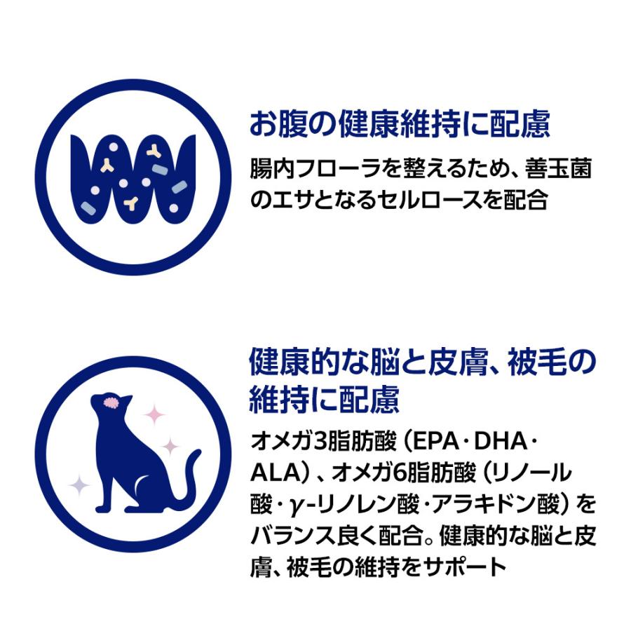 ベッツワンベテリナリー 猫用 腎臓ケア チキン ウェット パウチ 85g×12
