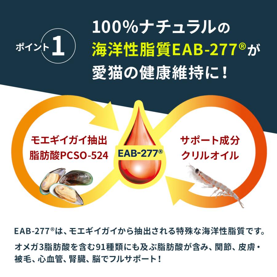 Vetz Petz P5倍 公式 アンチノール プラス 猫用 サプリメント 30 Vetz Petz P5倍 公式 アンチノール プラス 猫用 サプリメント 30