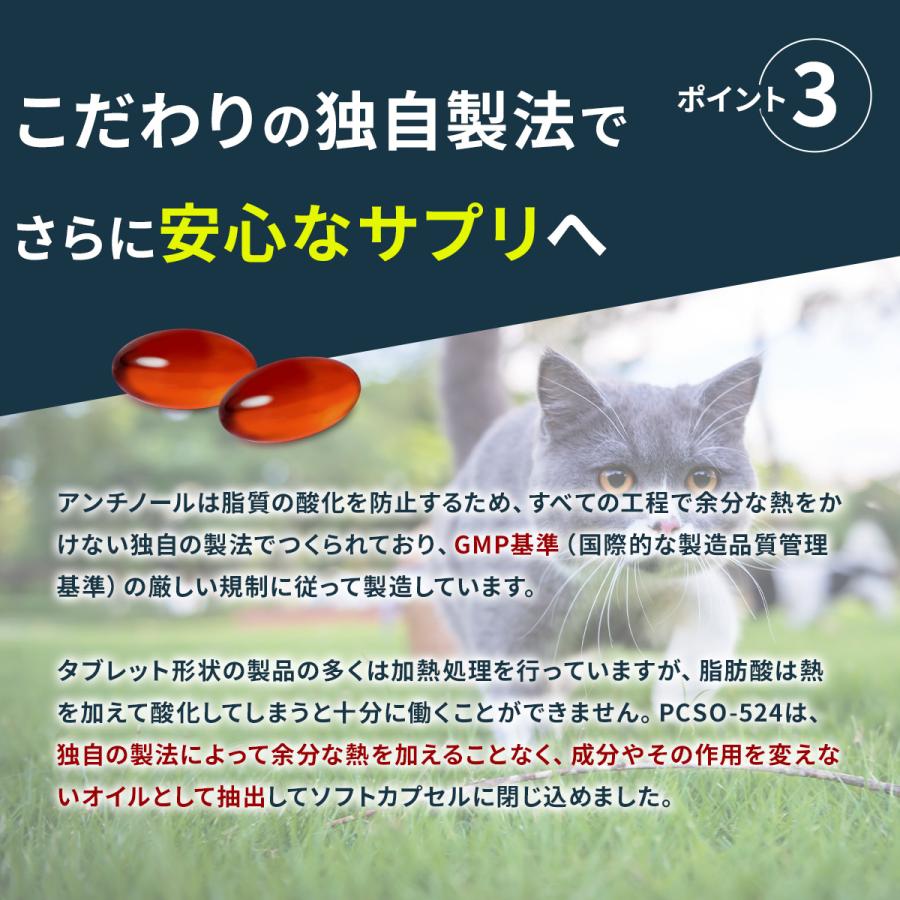 Vetz Petz P5倍 公式 アンチノール プラス 猫用 サプリメント 30 Vetz Petz P5倍 公式 アンチノール プラス 猫用 サプリメント 30