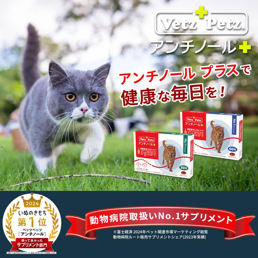 Vetz Petz 公式 アンチノール プラス ペットサプリ 60粒 ベッツペッツ 猫 猫用 サプリメント サプリ 関節 DHA EPA 皮膚 腎臓 神経 高齢 シニア モエギイガイ ナチュラル : アンチノール公式ベッツペッツショップ - 通販 - Yahoo!ショッピング Vetz Petz 公式 アンチノール プラス ペットサプリ 60粒 ベッツペッツ 猫 猫用 サプリメント サプリ 関節 DHA EPA 皮膚 腎臓 神経 高齢 シニア モエギイガイ ナチュラル : アンチノール公式ベッツペッツショップ - 通販 - Yahoo!ショッピング