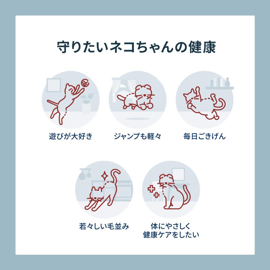 Vetz Petz 公式 アンチノール プラス 猫用 サプリメント 60粒 Vetz Petz 公式 アンチノール プラス 猫用 サプリメント 60粒