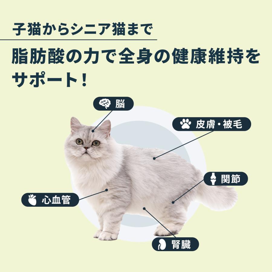 【新品未開封】猫 アンチノール プラス 60錠×2箱(120粒) Vetz Petz 公式 アンチノール プラス 猫用 サプリメント 60粒