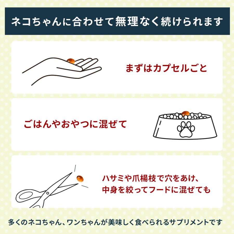 Vetz Petz 公式 アンチノール プラス 猫用 サプリメント 60粒 Vetz Petz 公式 アンチノール プラス 猫用 サプリメント 60粒