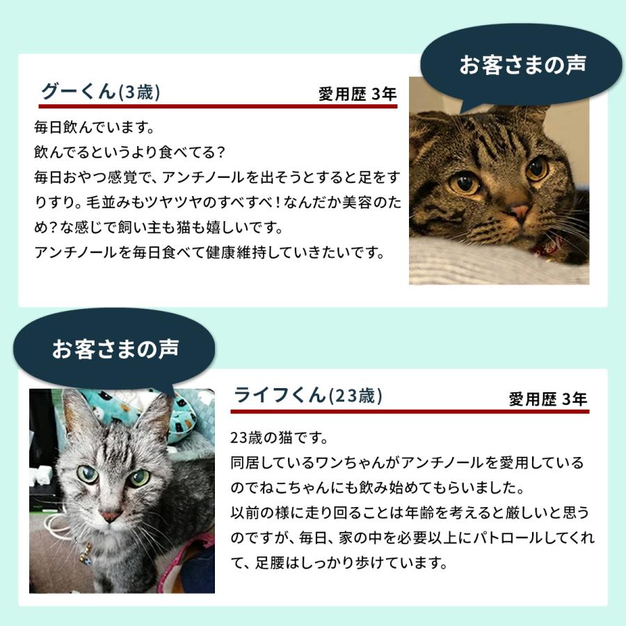 Vetz Petz P5倍 公式 アンチノール プラス 猫用 サプリメント 60 Vetz Petz P5倍 公式 アンチノール プラス 猫用 サプリメント 60