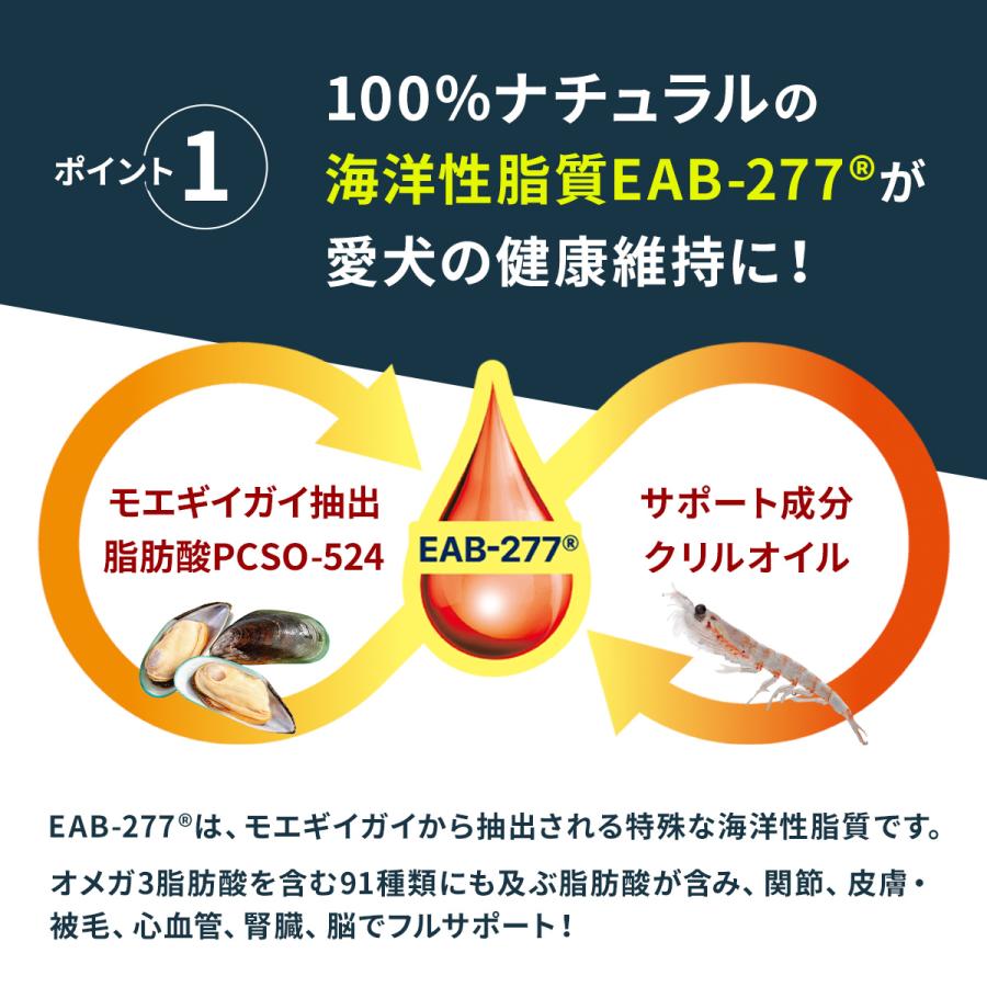 Vetz Petz 公式 アンチノール プラス ペットサプリ 30粒 犬 犬用 Vetz Petz 公式 アンチノール プラス ペットサプリ 30粒 犬 犬用