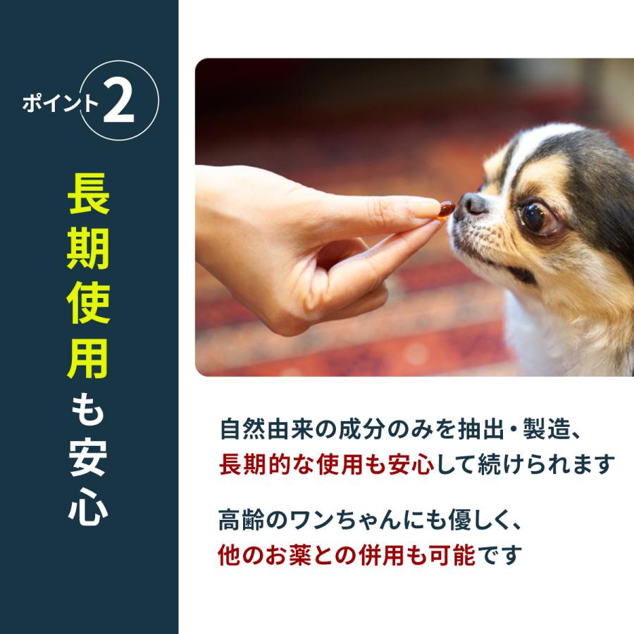 Vetz Petz P5倍 公式 アンチノール プラス ペットサプリ 30粒 犬 Vetz Petz P5倍 公式 アンチノール プラス ペットサプリ 30粒 犬