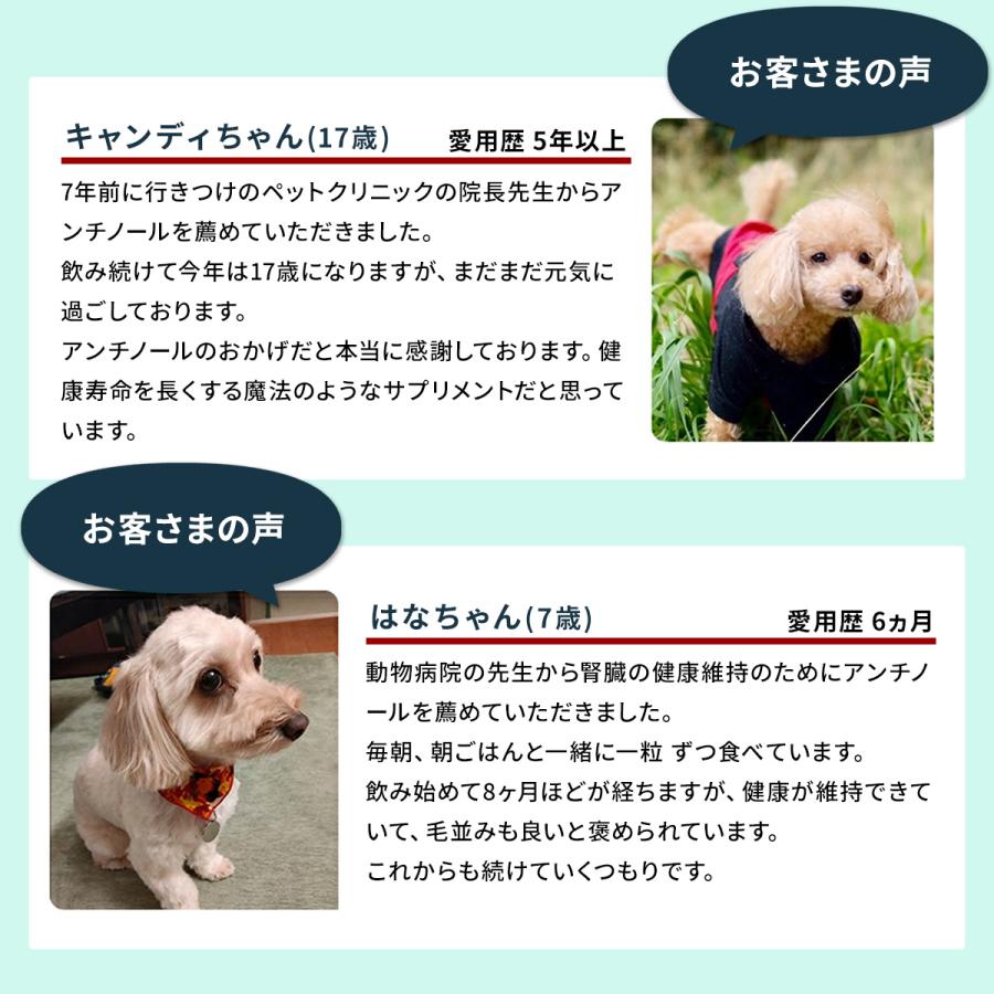 Vetz Petz P5倍 公式 アンチノール プラス ペットサプリ 30粒 犬 Vetz Petz P5倍 公式 アンチノール プラス ペットサプリ 30粒 犬