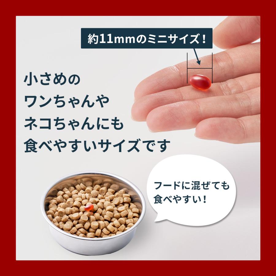 Vetz Petz 公式 アンチノール プラス ペットサプリ 60粒 犬 犬用 Vetz Petz 公式 アンチノール プラス ペットサプリ 60粒 犬 犬用