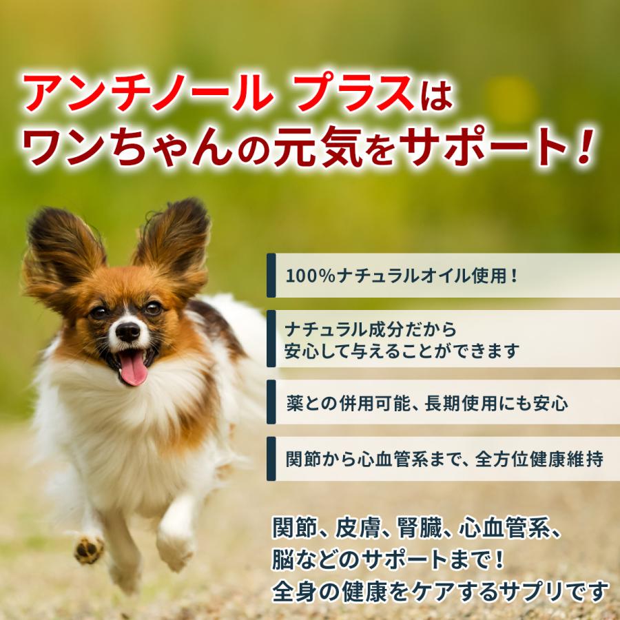 Vetz Petz 公式 アンチノール プラス ペットサプリ 60粒 犬 犬用 サプリメント サプリ 関節 DHA EPA 皮膚 腎臓 神経 高齢 シニアケア モエギイガイ ベッツペッツ : アンチノール公式ベッツペッツショップ - 通販 - Yahoo!ショッピング Vetz Petz 公式 アンチノール プラス ペットサプリ 60粒 犬 犬用 サプリメント サプリ 関節 DHA EPA 皮膚 腎臓 神経 高齢 シニアケア モエギイガイ ベッツペッツ : アンチノール公式ベッツペッツショップ - 通販 - Yahoo!ショッピング