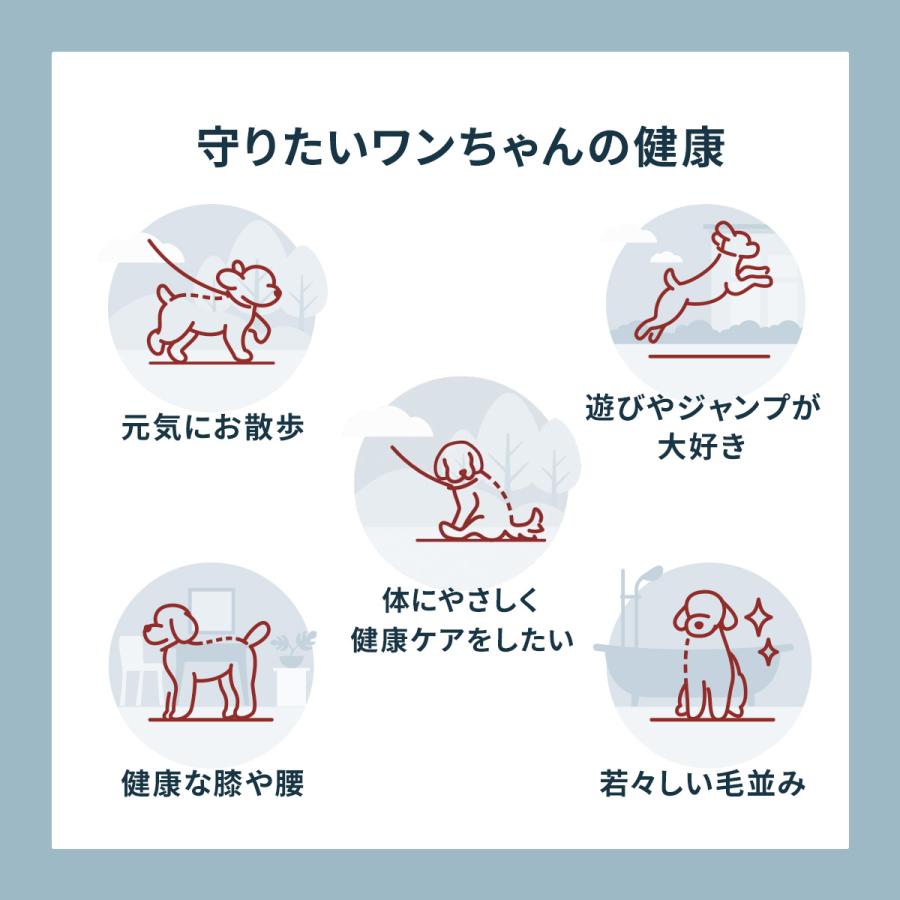 Vetz Petz 公式 アンチノール プラス ペットサプリ 60粒 犬 犬用 Vetz Petz 公式 アンチノール プラス ペットサプリ 60粒 犬 犬用