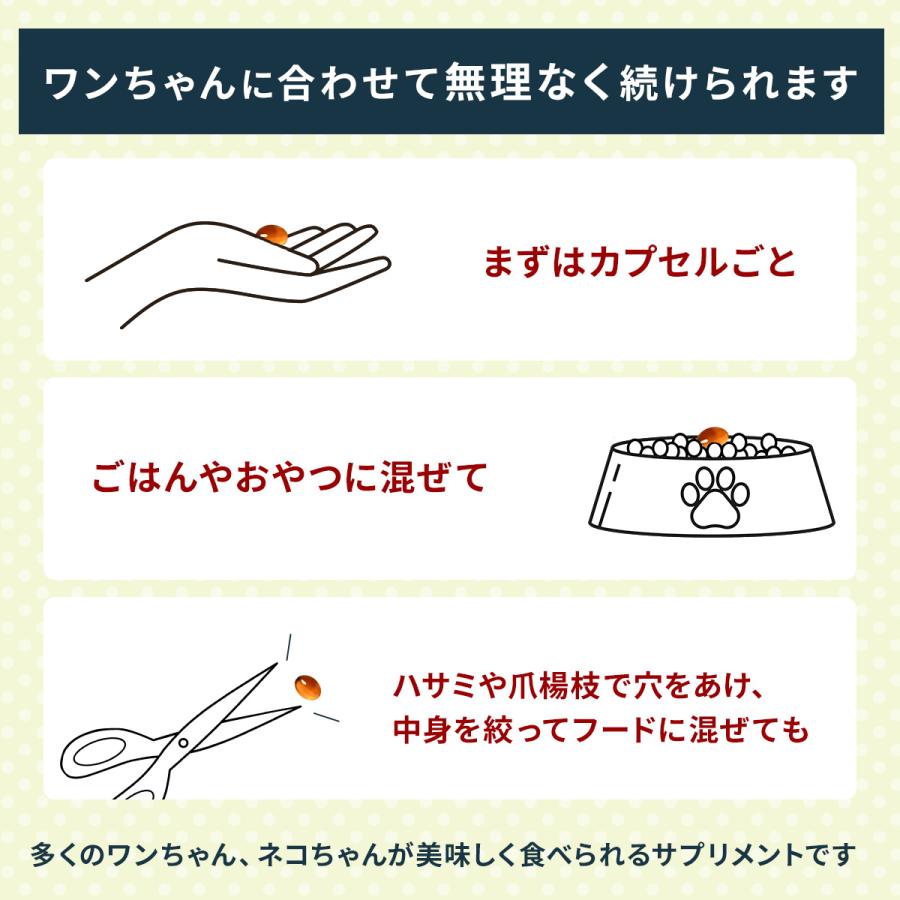 Vetz Petz 公式 アンチノール プラス ペットサプリ 60粒 犬 犬用 Vetz Petz 公式 アンチノール プラス ペットサプリ 60粒 犬 犬用