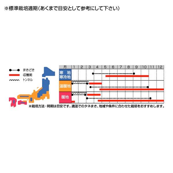 野菜の種/種子 味美菜・つけな 10ml（メール便発送）サカタのタネ 種苗