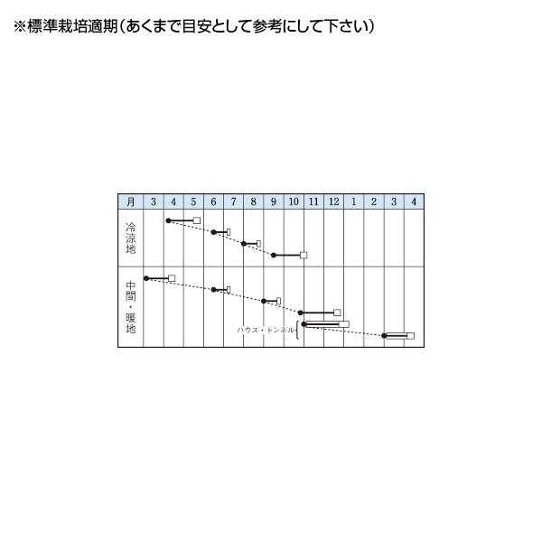 野菜の種/種子 夏楽天・コマツナ 小松菜 こまつ菜 20ml（メール便発送
