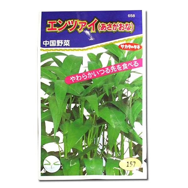 野菜の種 種子 エンツァイ あさがおな 中国野菜 13ml メール便発送 サカタのタネ