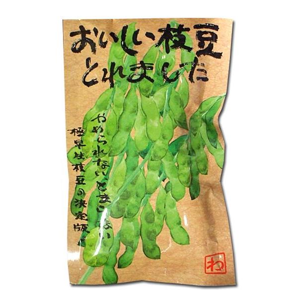 野菜の種/種子 おいしい枝豆とれました・えだまめ 1dl （メール便発送