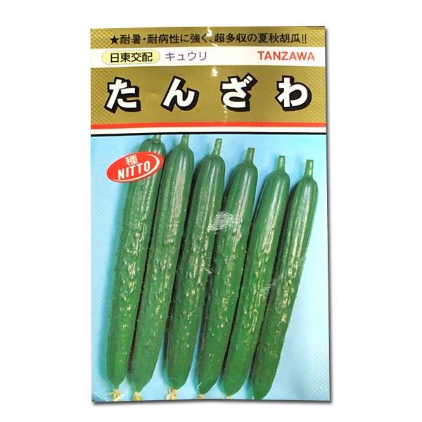 野菜の種/種子　たんざわ・キュウリ　350粒　（メール便発送/大袋）