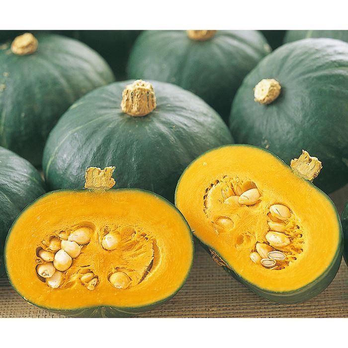 2021人気新作野菜の種 種子 栗っプチ・ミニかぼちゃ 100粒（メール便発送）サカタのタネ 種苗