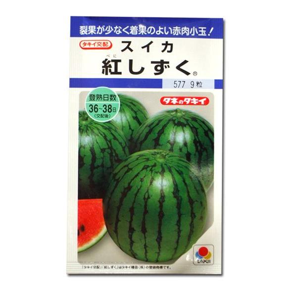 野菜の種/種子 紅しずく・スイカ すいか 西瓜 8粒（メール便発送