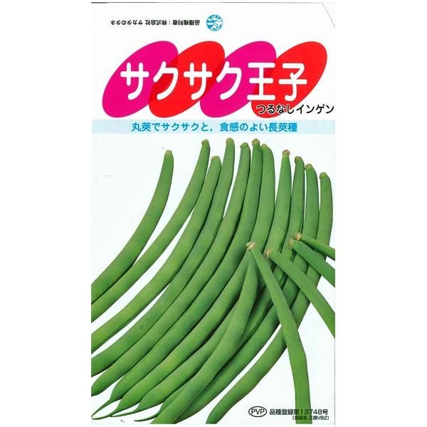 野菜の種/種子　サクサク王子・つるなしいんげん　50ml　（メール便発送）｜vg-harada