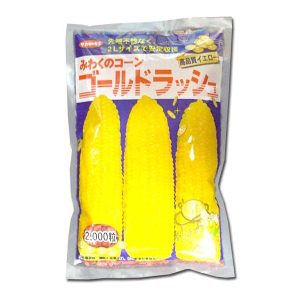 野菜の種/種子 ゴールドラッシュ・とうもろこし 2000粒 (大袋)サカタのタネ 種苗