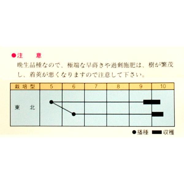 野菜の種/種子 青ばた・青大豆 えだまめ 量り売り1L (大袋