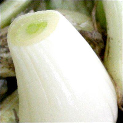 野菜・種/苗　国産ラッキョウ ラッキョ　らっきょ　らっきょう・生もの種　量り売り500g |  | 02