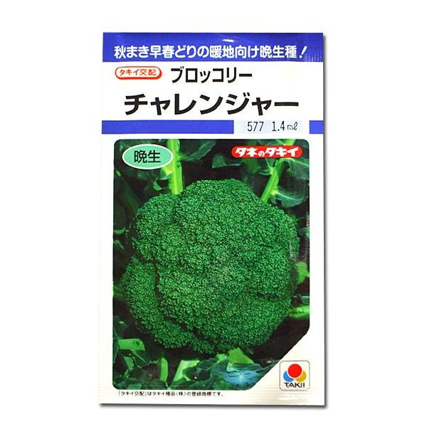 野菜の種/種子 チャレンジャー・ブロッコリー 1.2ml（メール便発送）タキイ種苗｜vg-harada