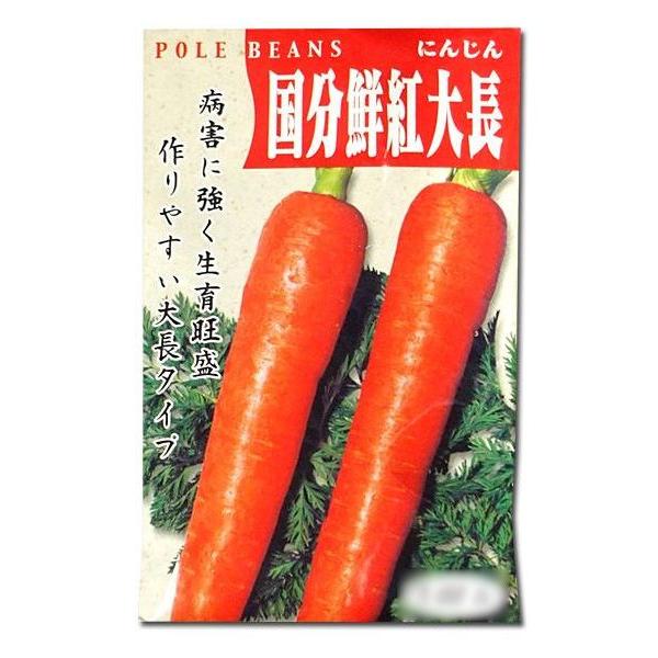 野菜の種/種子 国分鮮紅大長・にんじん 1L袋入  (大袋)の画像