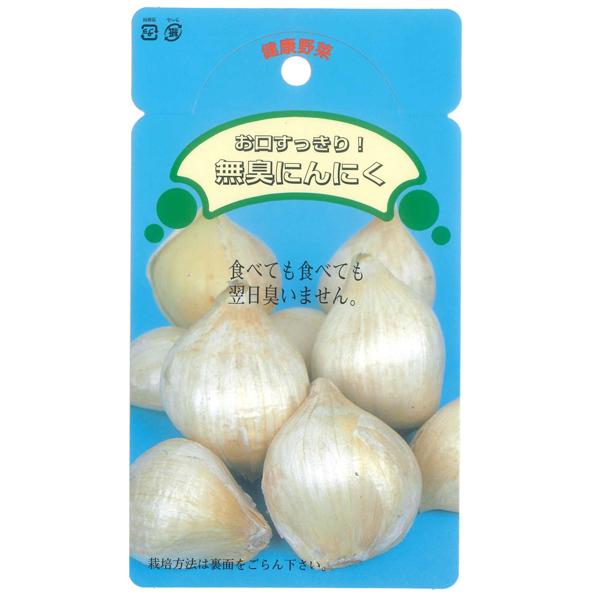野菜 種 苗 国産 無臭にんにく種子 ニンニク 250ｇ 8月中旬頃より順次発送