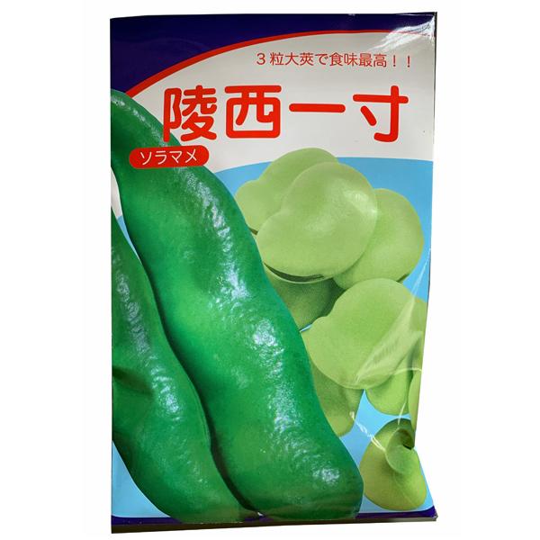 野菜の種/種子 陵西一寸蚕豆・そら豆 15粒 （メール便発送