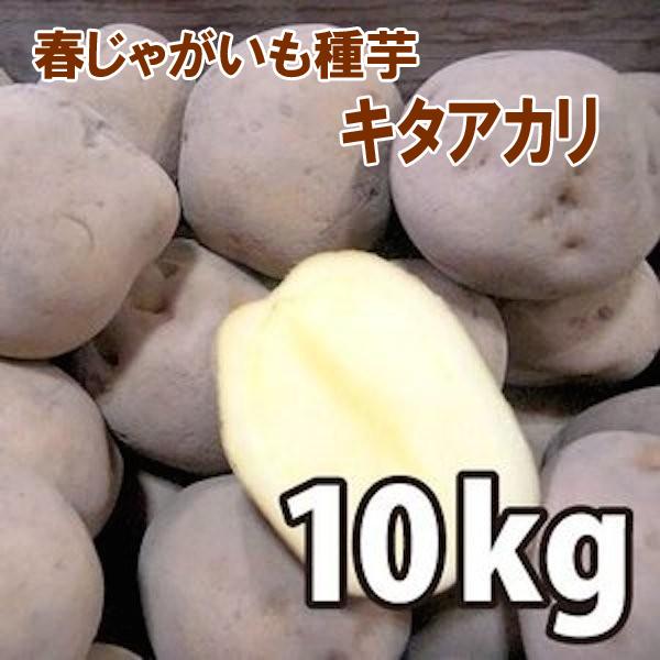 日本メーカー新品 野菜 種 苗 春植えジャガイモ種芋 北海道産 キタアカリ きたあかり じゃがいも種芋 生もの種 量り売り10kg 12月中下旬頃発送