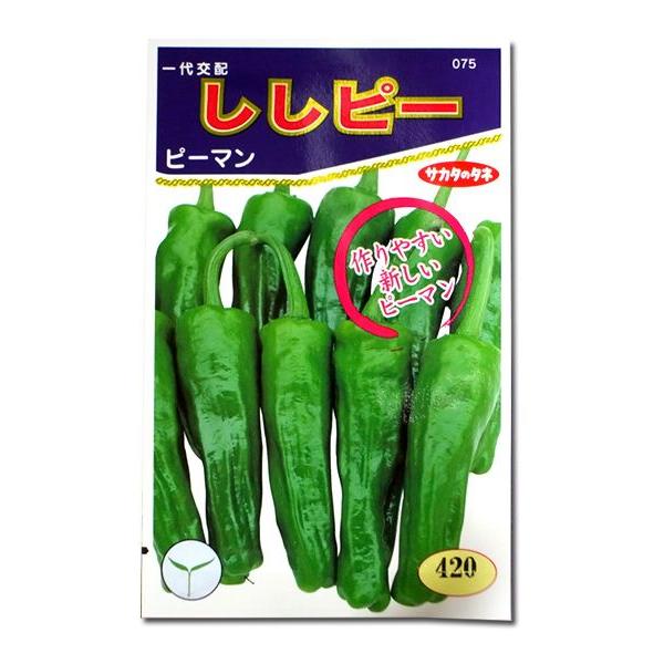 野菜の種/種子 ししピー・ピーマン 20粒（メール便発送）サカタのタネ