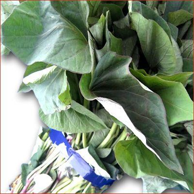 野菜の苗 ベニアズマ/紅東・ベニ東 紅あずま サツマイモ さつま サツマ