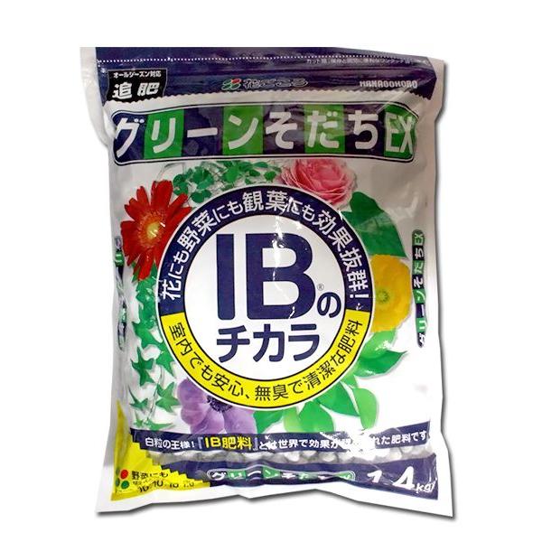 花にも野菜にも観葉植物にも使える肥料 IBのチカラ グリーンそだちEX