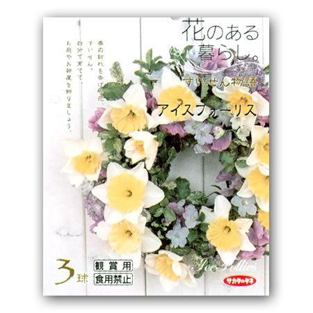 花・球根　スイセン/水仙　アイスフォーリス　花のある暮らし・すいせん物語　3球入｜vg-harada