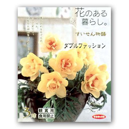 花・球根　スイセン/水仙　ダブルファッション　花のある暮らし・すいせん物語　3球入｜vg-harada