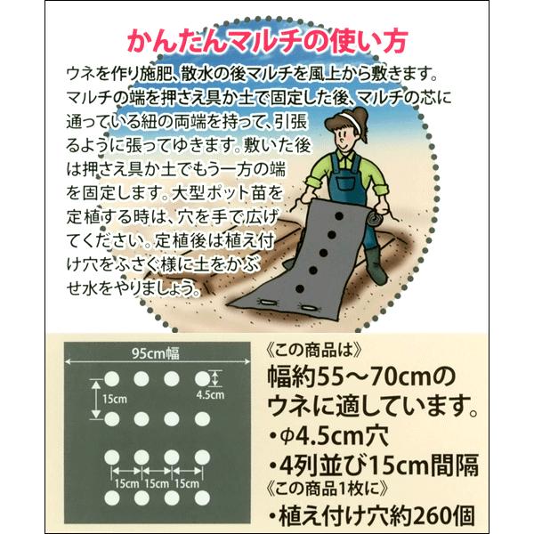 かんたん タマネギ マルチ 10m（幅95cm/薄さ0.03mm/穴径4.5cm×4列
