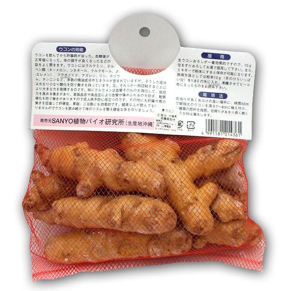 野菜・種/苗 キョウオウ［春ウコン］薬草ウコン 種・うこん 生もの種