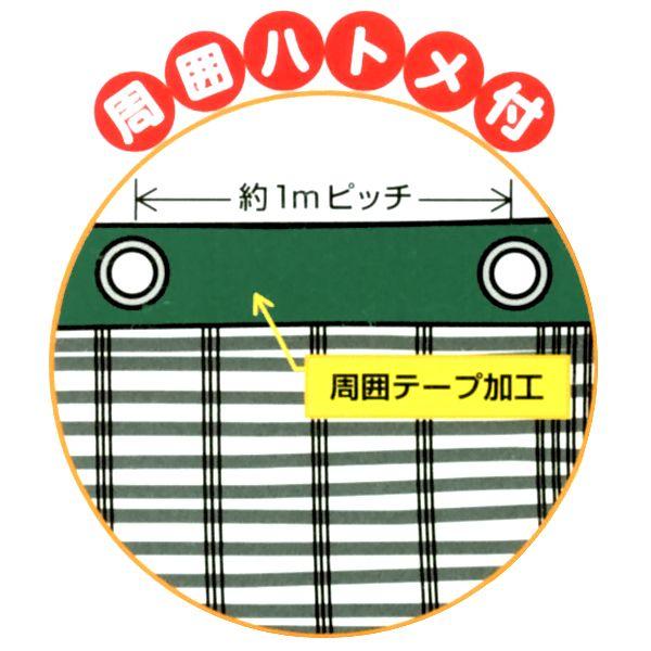ハトメ付 遮光ネット 幅2m×長さ6m 農業資材 : ベジタブルガーデン