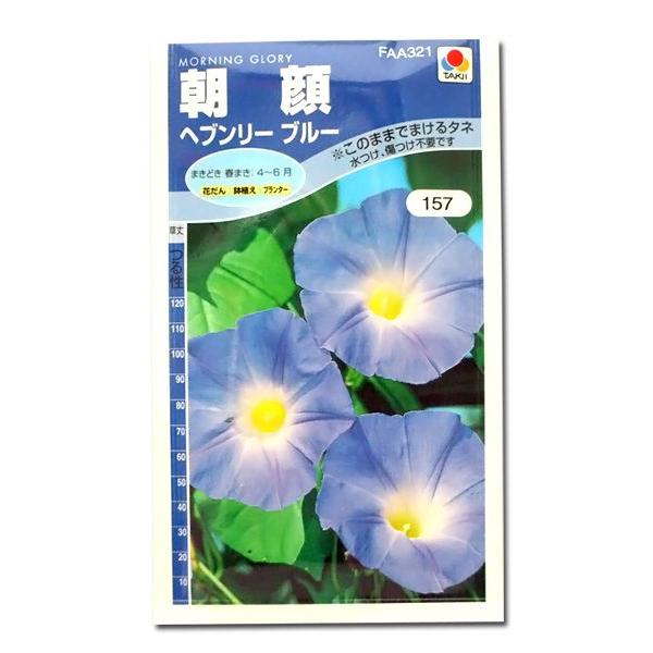 お買得 西洋アサガオ パーリーゲート 種粒 Phasukasset Com