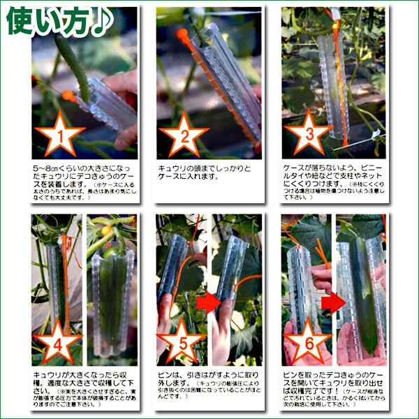 デコきゅう（家庭菜園用キュウリの型）星型&times;10本セット　ガーデニング・雑貨