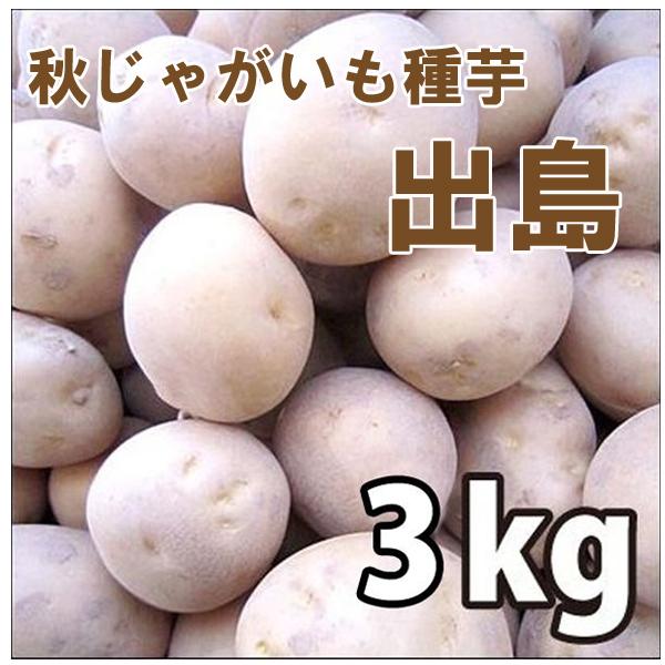 ジャガイモ アンデスレッド 種芋 1kg - 野菜
