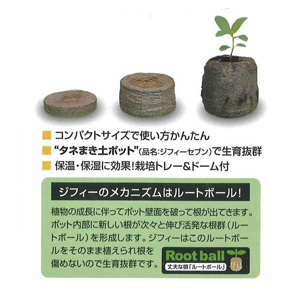 タネまき ミニ温室 ジフィー・ジフィーセブン42mm 10個入