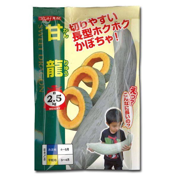 野菜の種/種子　甘龍・カボチャ　100粒　（メール便発送/大袋）